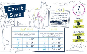 2 hounds sizing chart