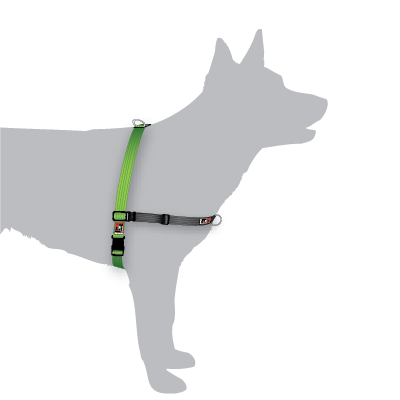Black Dog Balance Dual Clip Walking Harness