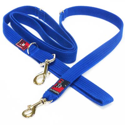 halter lead dog