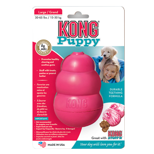 Kong Puppy