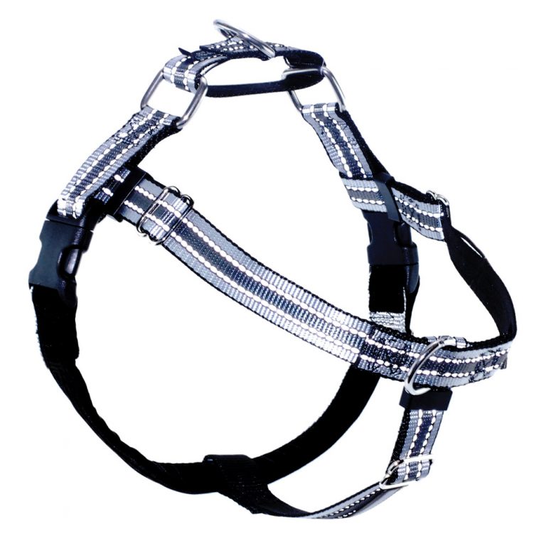 freedome harness freedome harness