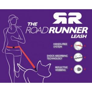 Road Runner 1-500×500