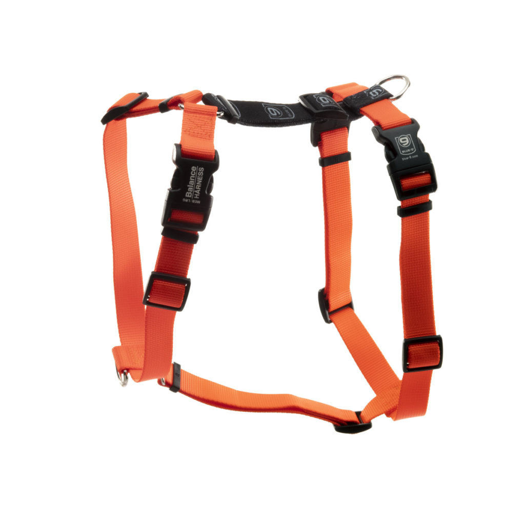 Blue 9 Balance Harness - DOGlife NZ