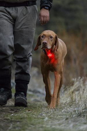 Ruffwear The Beacon™ Safety Light