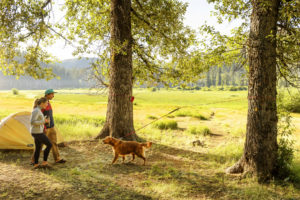 Ruffwear Knot-A-Hitch™