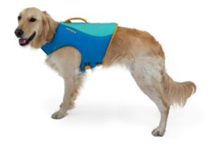 RW Float Coat dog