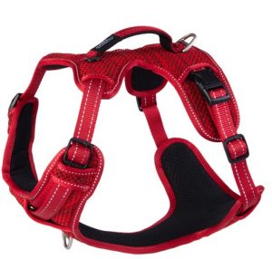 ROGZ Explore harness