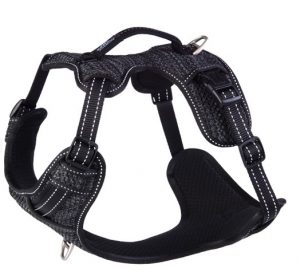 ROGZ Explore harness black