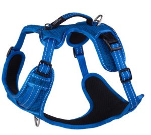 ROGZ Explore harness blue