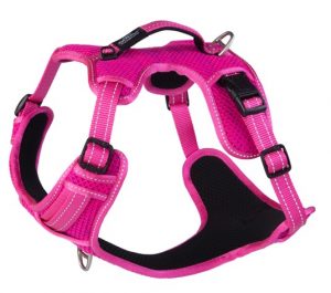 ROGZ Explore harness pink