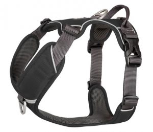 DC Comfort Walk Pro Harness