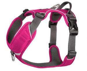 DC Comfort Walk Pro Harness10