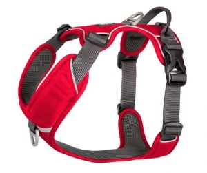 DC Comfort Walk Pro Harness11