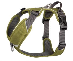 DC Comfort Walk Pro Harness12