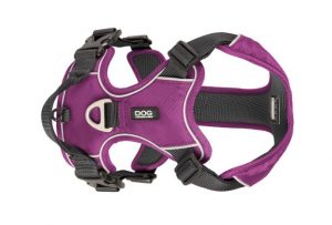 DC Comfort Walk Pro Harness4