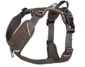 DC Comfort Walk Pro Harness6