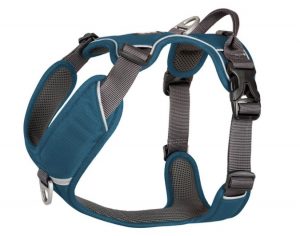 DC Comfort Walk Pro Harness7