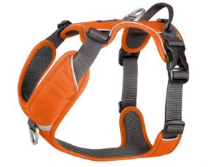 DC Comfort Walk Pro Harness8