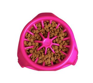 OH 3 n 1 up feeder pink