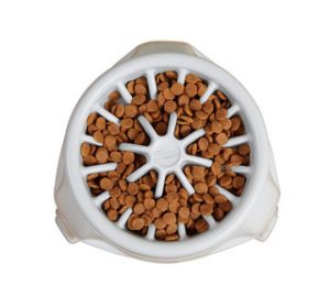 OH 3 n 1 up feeder plastic white2