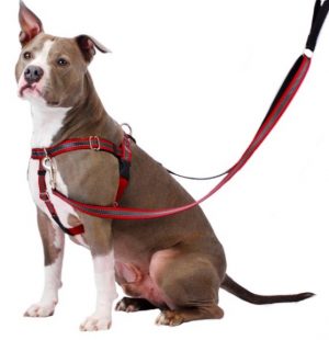 No pull relfective harness red