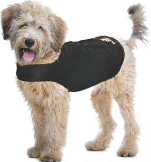 Zendog calming shirt