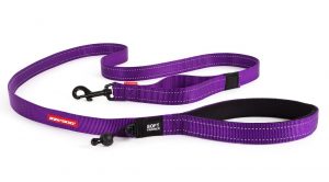 ED Soft Trainers Leash