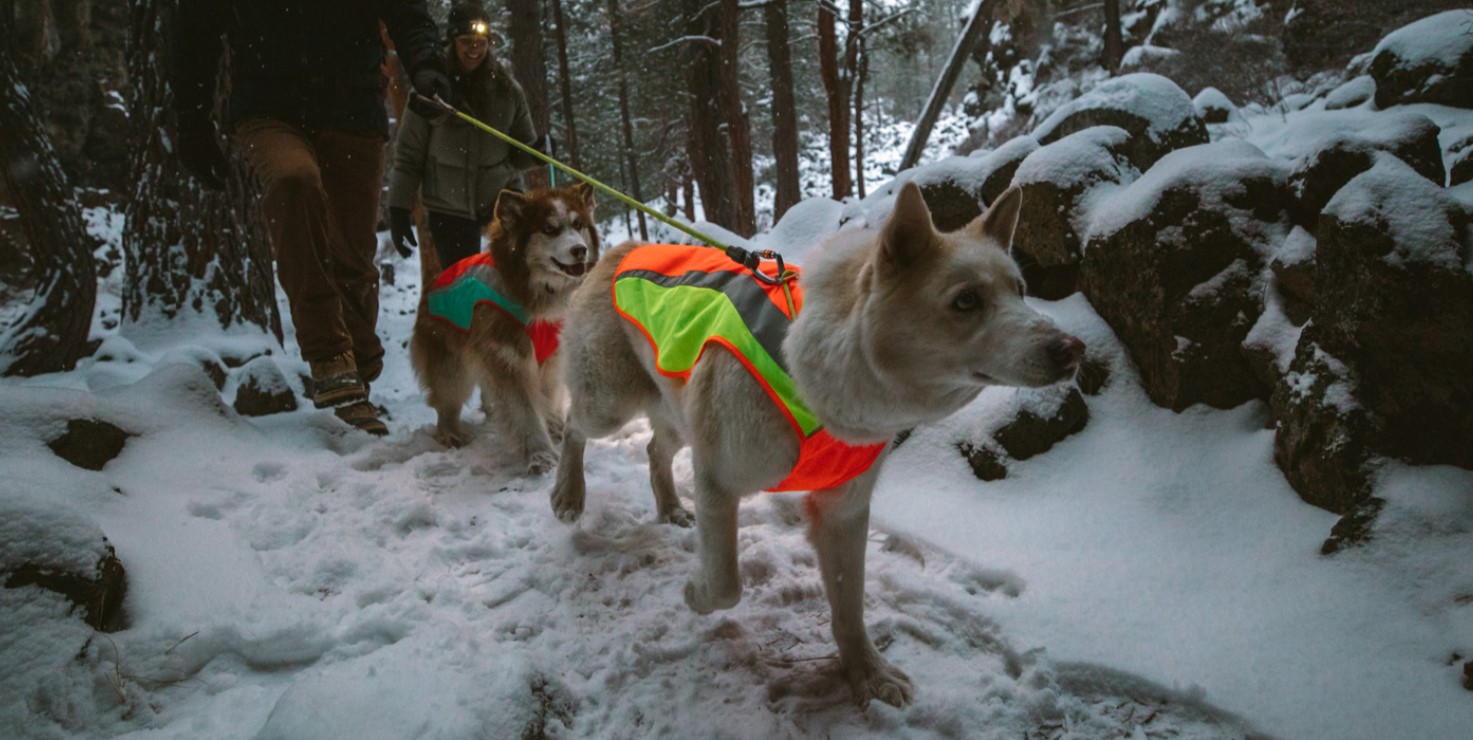 Ruffwear Lumenglow High Vis Dog Jacket DOGlife NZ