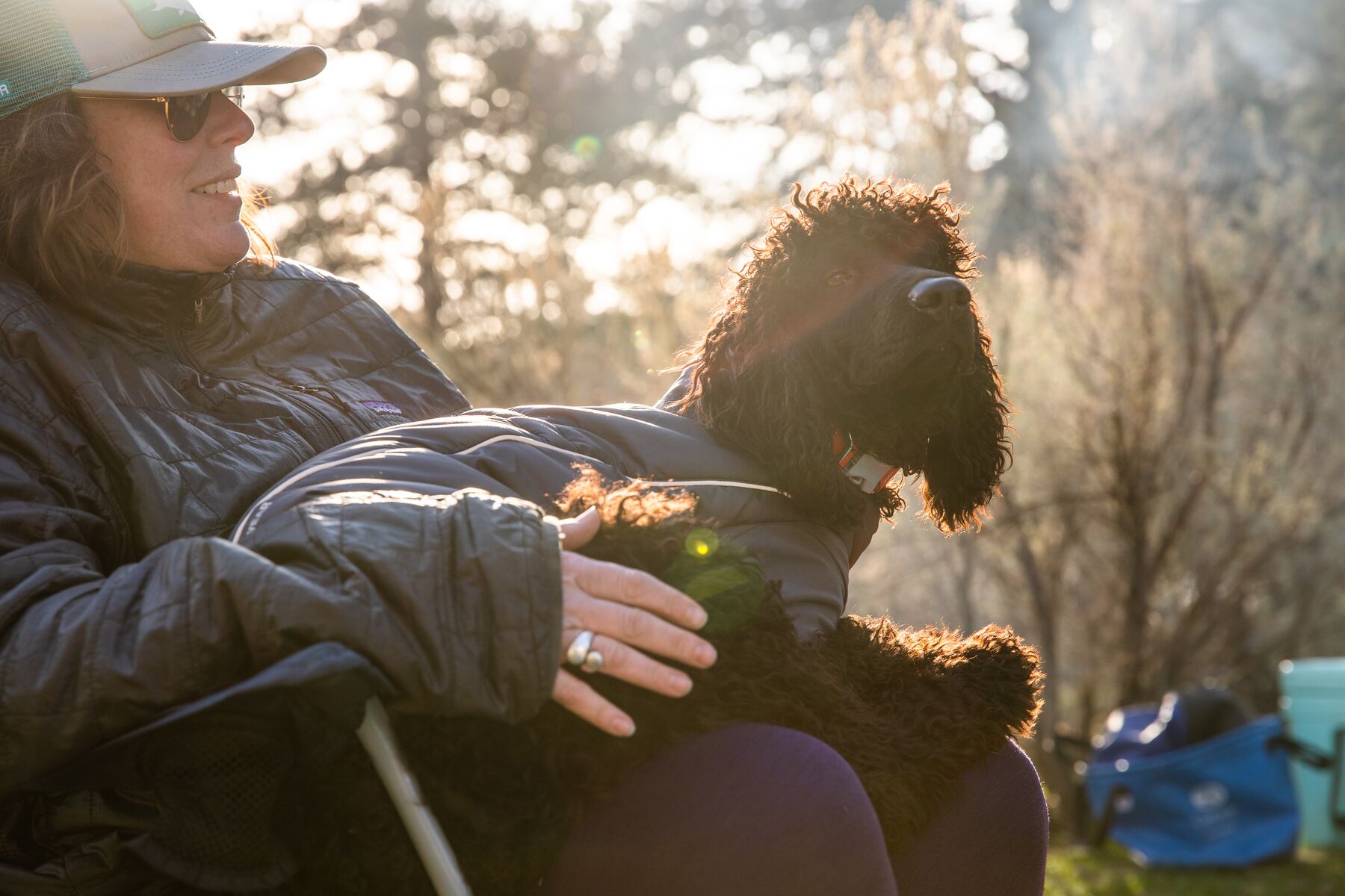 Ruffwear Furness Jacket DOGlife NZ