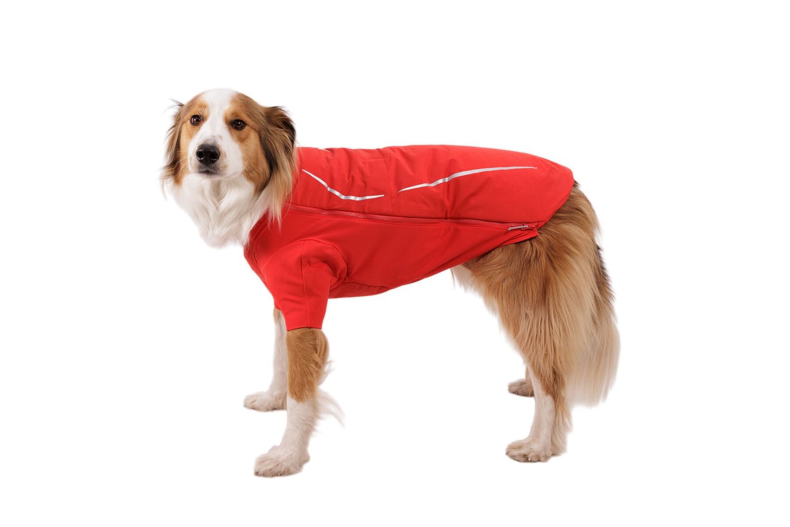 Ruffwear Powder Hound™ Waterproof Insulated Jacket - Image 4