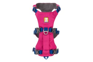 Web JPG-30551_Flagline-Harness_Alpenglow-Pink_Top_STUDIO