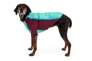 Web JPG-FW22-Powder-Hound-Ellie-S-1_3750x2500-Print