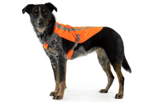 ruffwear track jacket