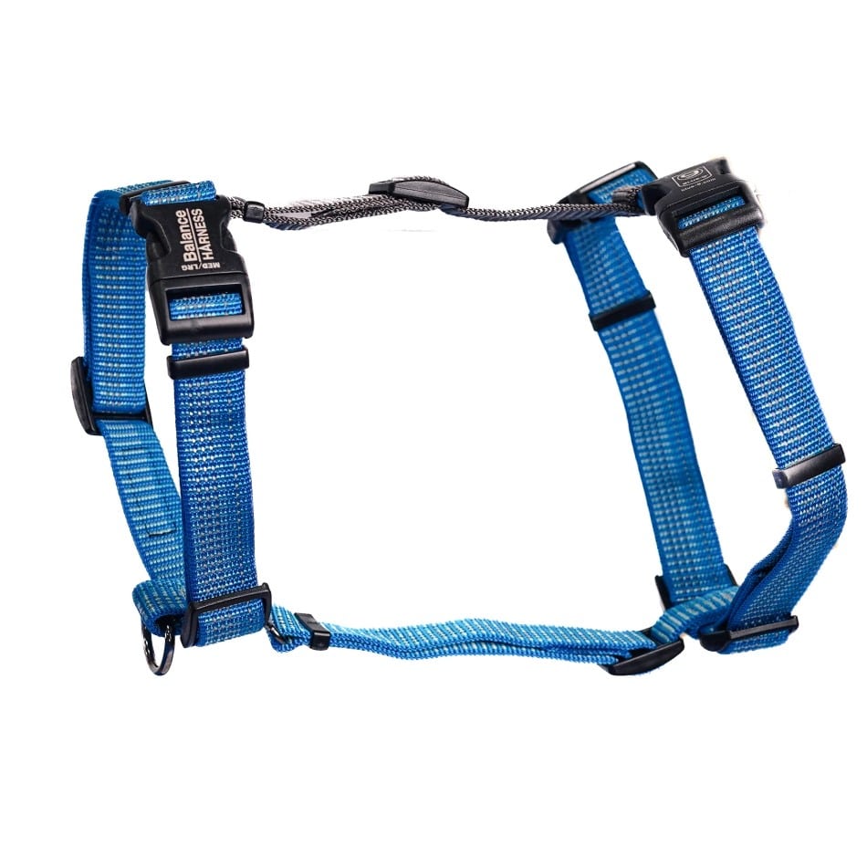 Blue 9 Balance Harness (SALE)