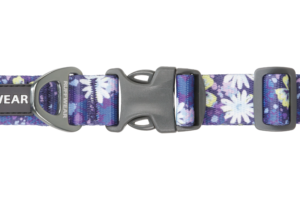 25451_Front-Range-Collar_Wildflower_Buckle_STUDIO