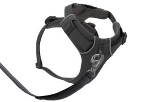 Web JPG-30503_Front-Range-Harness-Basalt-Gray_Bottom-with-leash_STUDIO