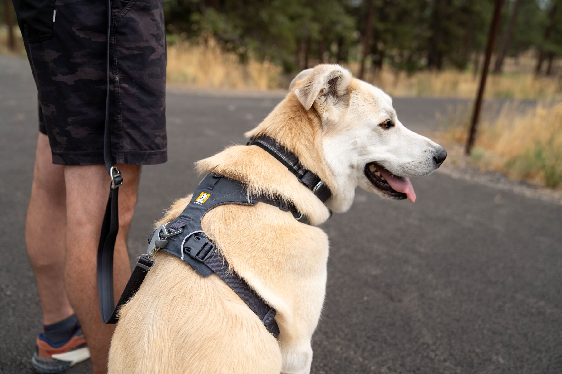 Ruffwear Front Range Harness DOGlife NZ