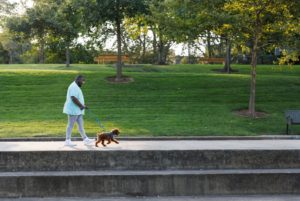 Web JPG-30503_Front Range Harness_Blue-Pool_Trevon_Downtown Columbus-19