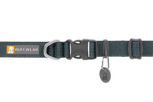 2555_Hi-&-Light-Collar_Basalt-Gray_Buckle_STUDIO