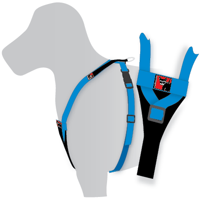 Black Dog Y-Front Tracking Harness