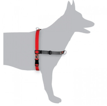 Black Dog Balance Dual Clip Walking Harness (SALE STOCK)