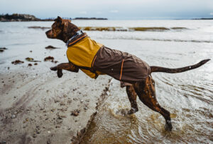 Ruffwear Sunshower™ Jacket - Image 24