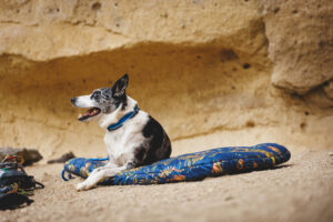 Ruffwear Basecamp Bed™ - Image 3