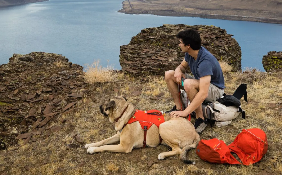 Ruffwear Palisades ™ Pack - Image 4