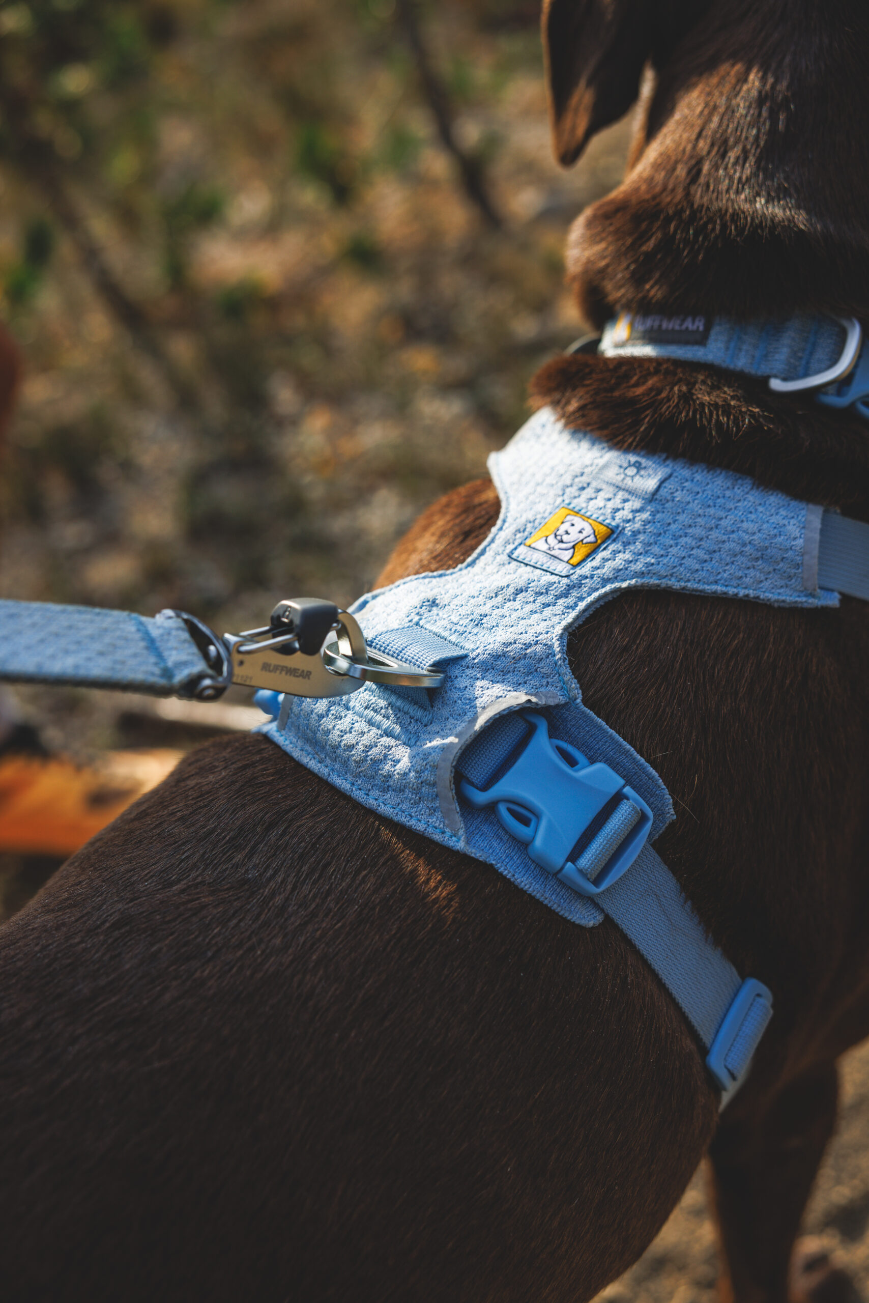 Ruffwear Front Range Flex™ Harness - Image 15